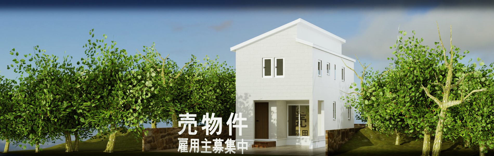 Architectural-perspective